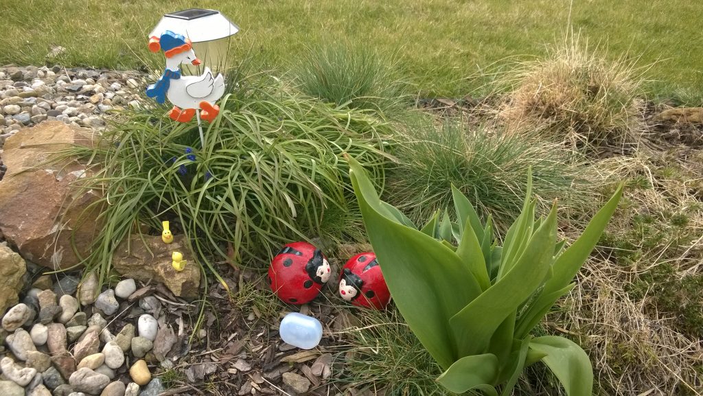 wp_20150407_16_31_50_pro